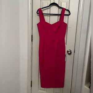 NWT Dress the Population